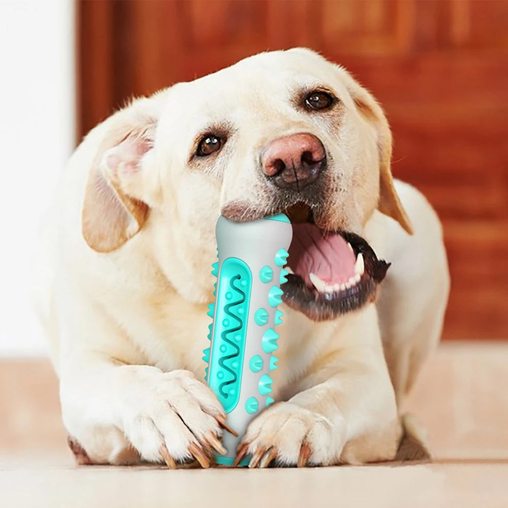 Large Dog Toothbrush Chew Toys Safe Bite Resistant Puppy Dental Care Pet Cleaning Toy For Golden Retriever Pug Treat Dispenser