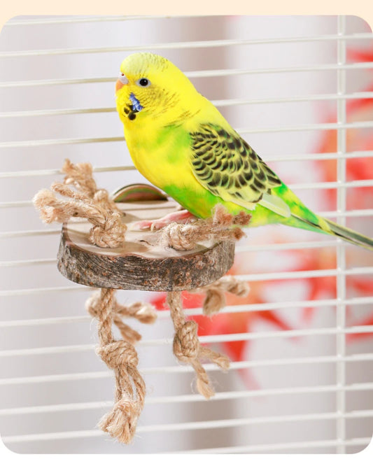 Natural Wood Bird Chew Toy