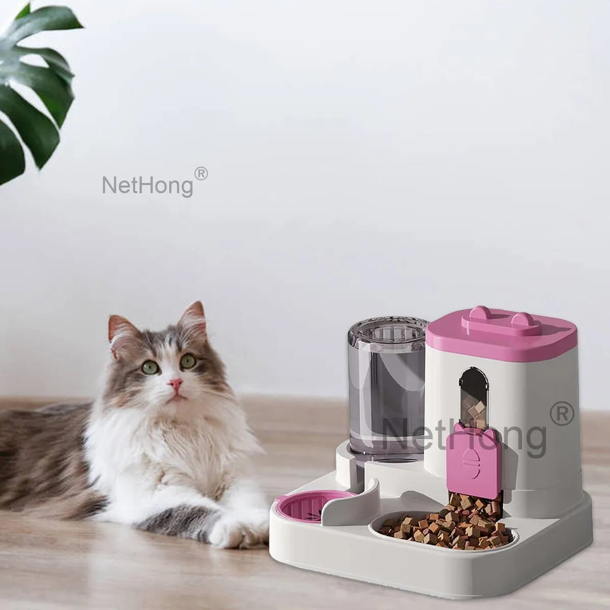 Automatic Cat Dispenser Set 2 In 1 Tilted Pet Food And Water Feeder