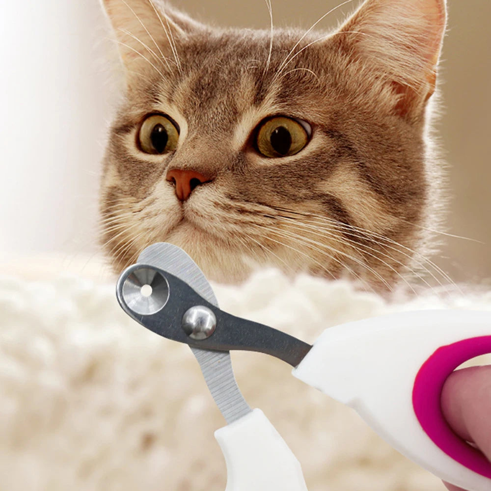 Small Pet Nail Clippers for Cats – Safe & Easy Trimming Tool