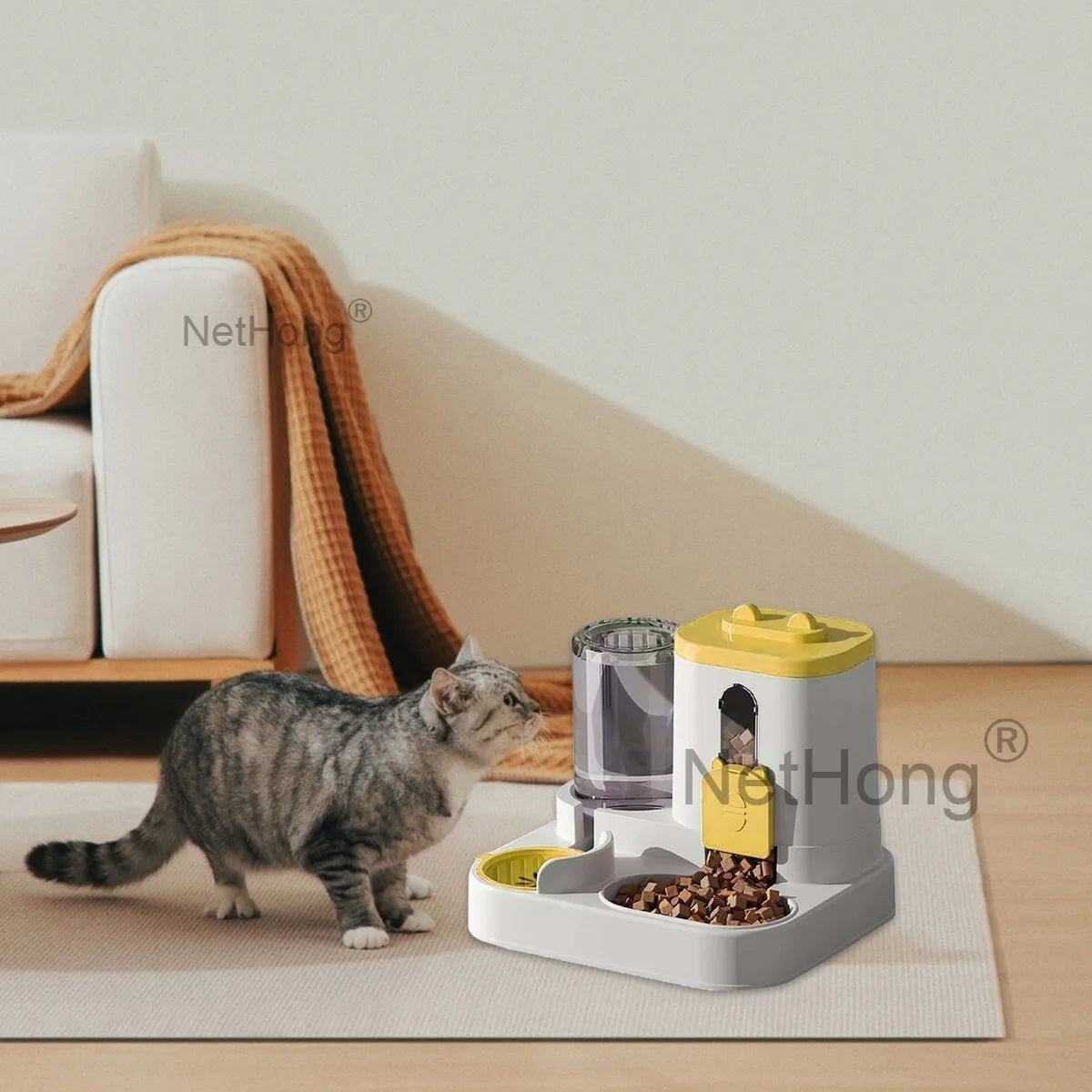 Automatic Cat Dispenser Set 2 In 1 Tilted Pet Food And Water Feeder