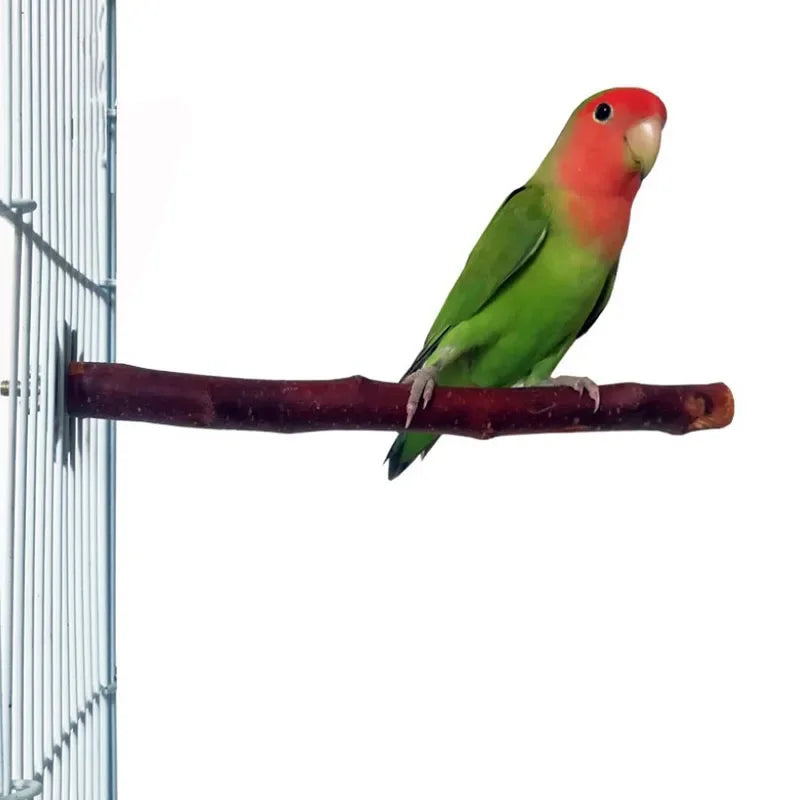 Natural Wood Branch Stand – Chew Toy Perch for Parrots, Hamsters & Birds