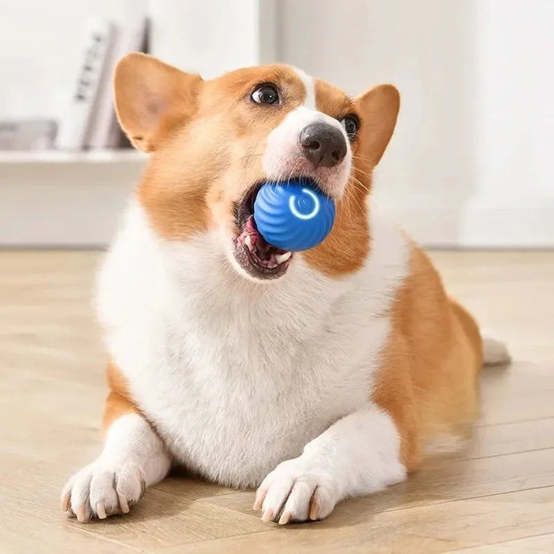 Smart Interactive Pet Toy Ball – USB Automatic Bouncing for Dogs & Cats