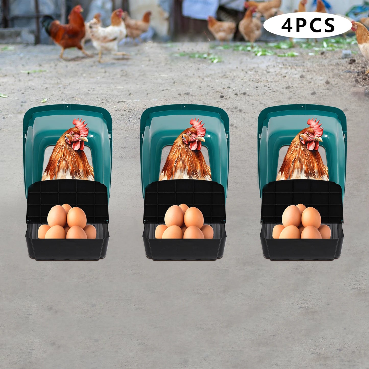 Plastic Chicken Nesting Boxes Set of 4 for Laying Hens