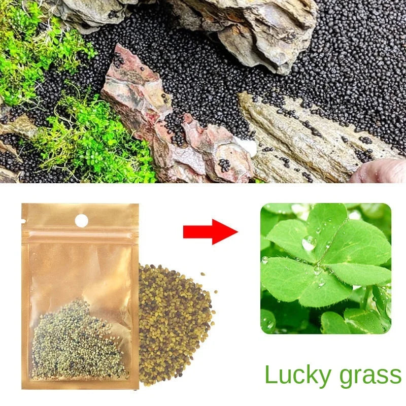 Aquarium Plant Soil – Fertile Substrate for Fish Tank Plants & Decor