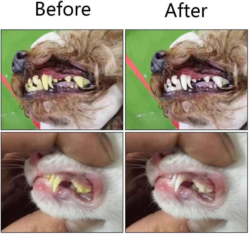 Pet Finger Toothbrush – Soft Tartar Remover for Dogs & Cats