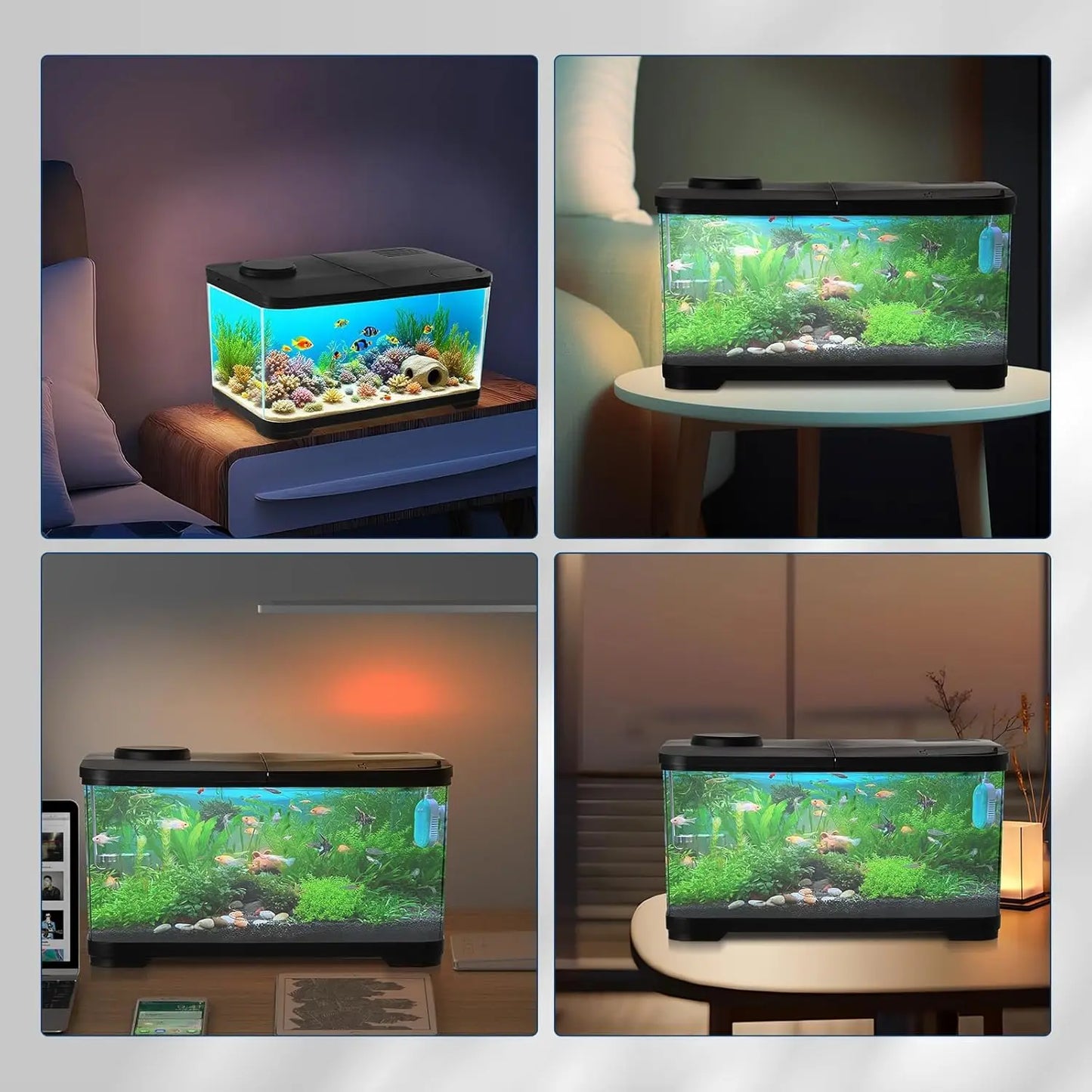 50L Acrylic Aquarium Kit – Tank with Light for Fish, Shrimp & Plants