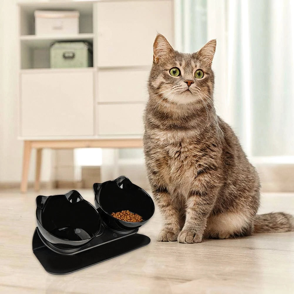15° Tilted Cat Bowls – Non-Slip Elevated Double Feeder for Neck Protection