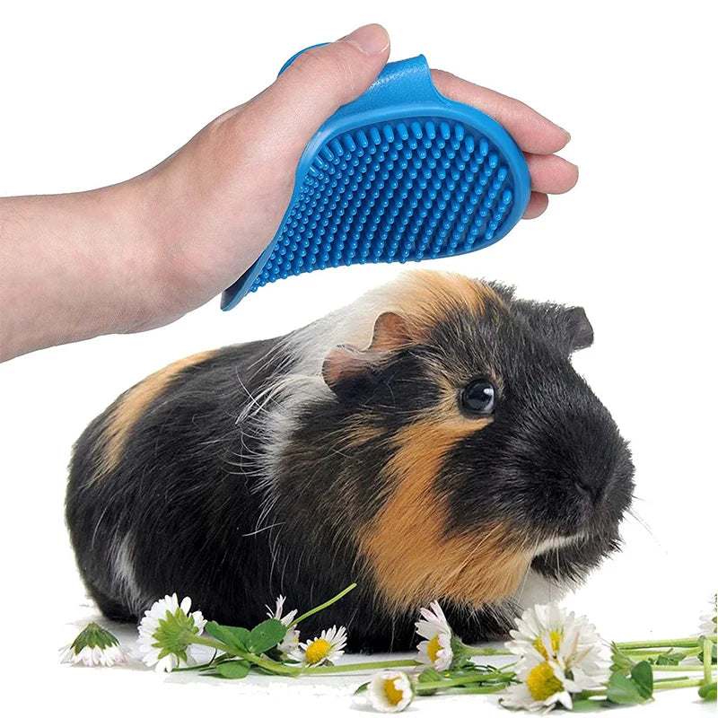 Rabbit Grooming Kit – Nail Clipper, Tear Stain Remover & Bath Brush for Small Pets