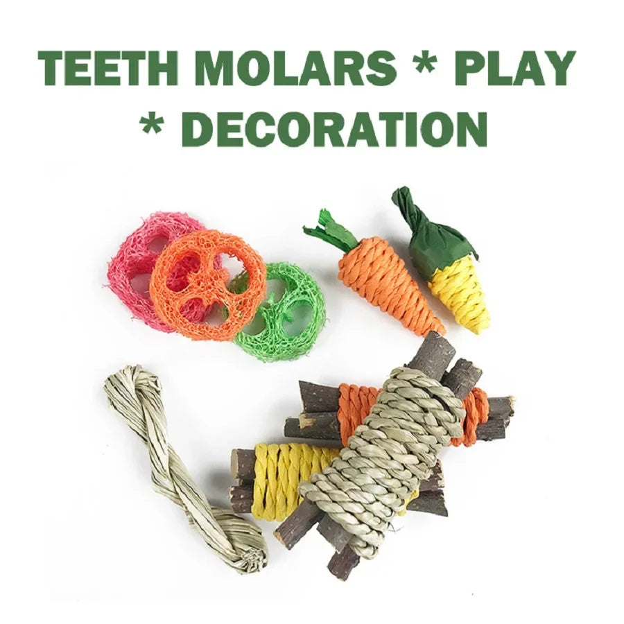 Pet Tooth Grinding Set – Chew Toys & Snacks for Rabbits, Guinea Pigs & Hamsters