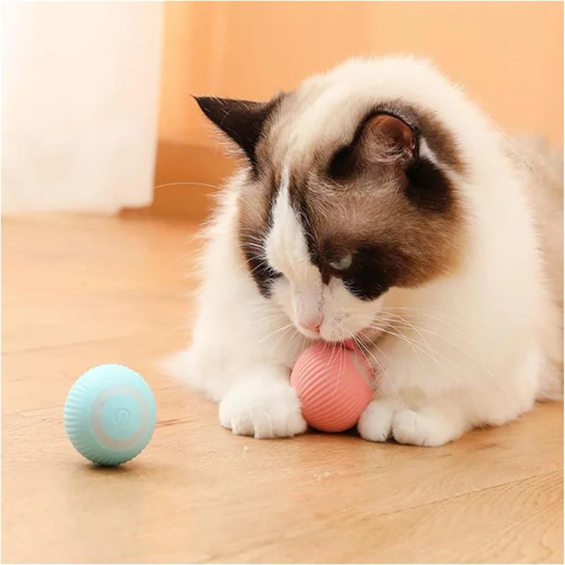 Smart Interactive Pet Toy Ball – USB Automatic Bouncing for Dogs & Cats