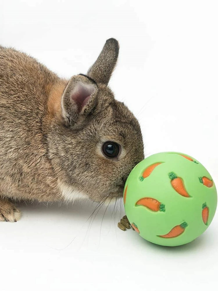 Rabbit Treat Ball – Interactive Slow Feeder Toy for Bunnies, Hamsters & Ferrets