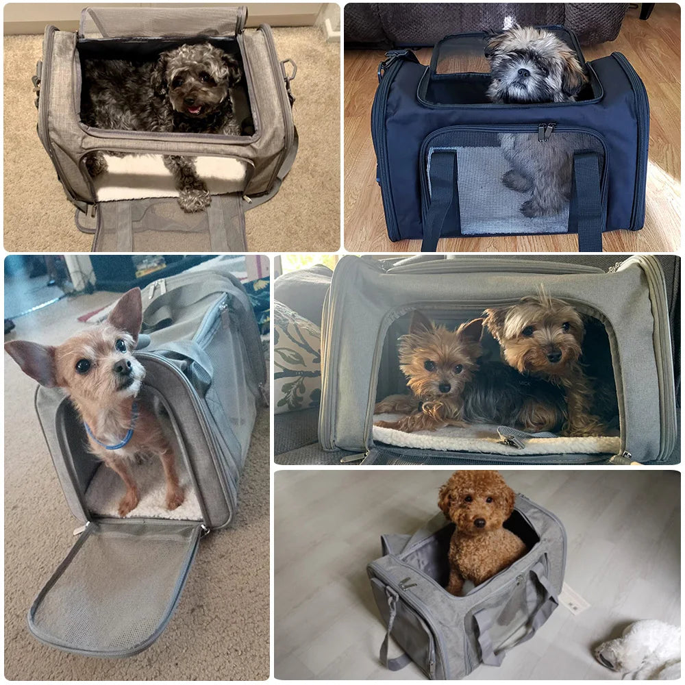 Dog & Cat Carrier Backpack – Soft-Sided, Airline-Approved Travel Bag