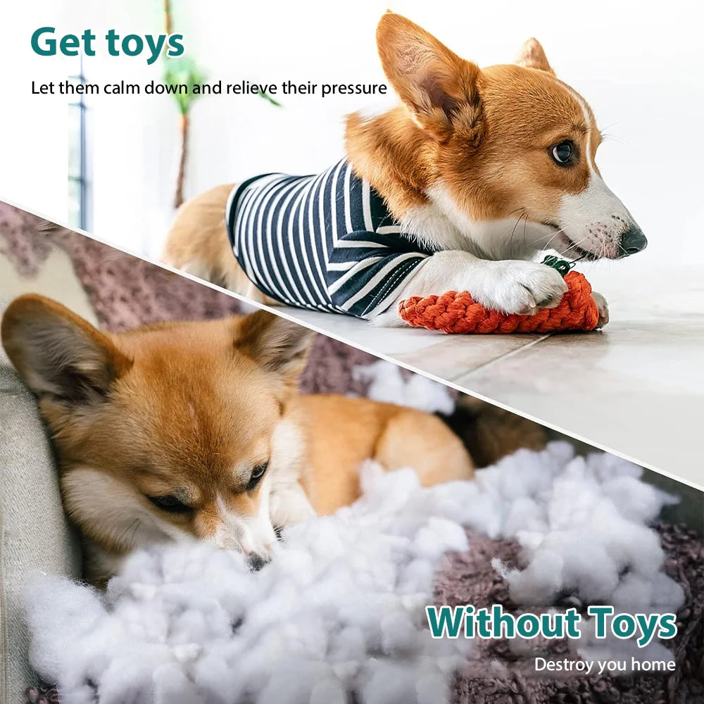 Dog Toy Set – Vibrant Chew & Squeaky Toys with Ropes for Teeth Cleaning & Play