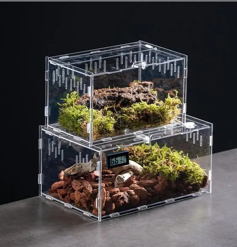 Acrylic Reptile Terrarium – Nano Breeding Box for Spider, Scorpion & Lizards
