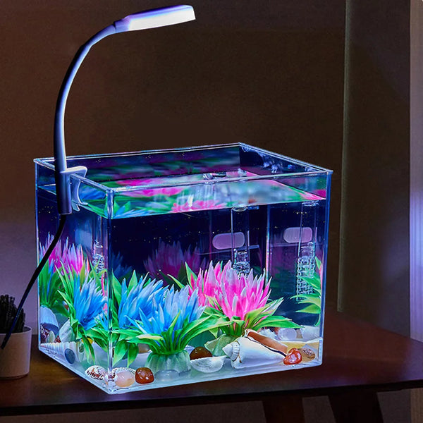 Aquarium Starter Kit – Square Tank with Clamp Light for Desk Decor