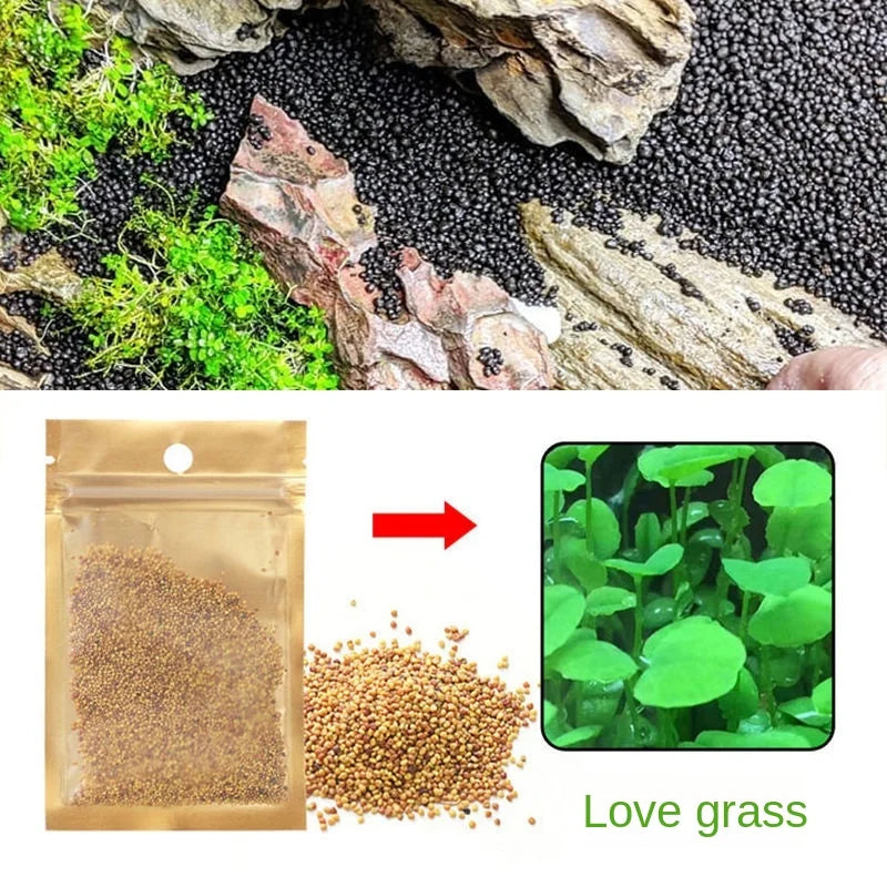 Aquarium Plant Soil – Fertile Substrate for Fish Tank Plants & Decor