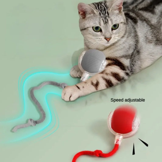 Rechargeable Smart Cat Ball – Automatic Rolling Toy with Teaser & Sensor