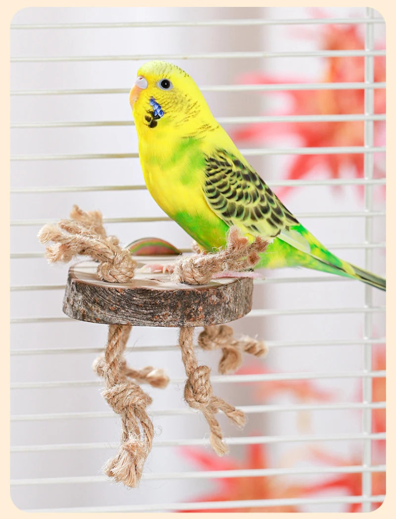 Natural Wood Bird Chew Toy
