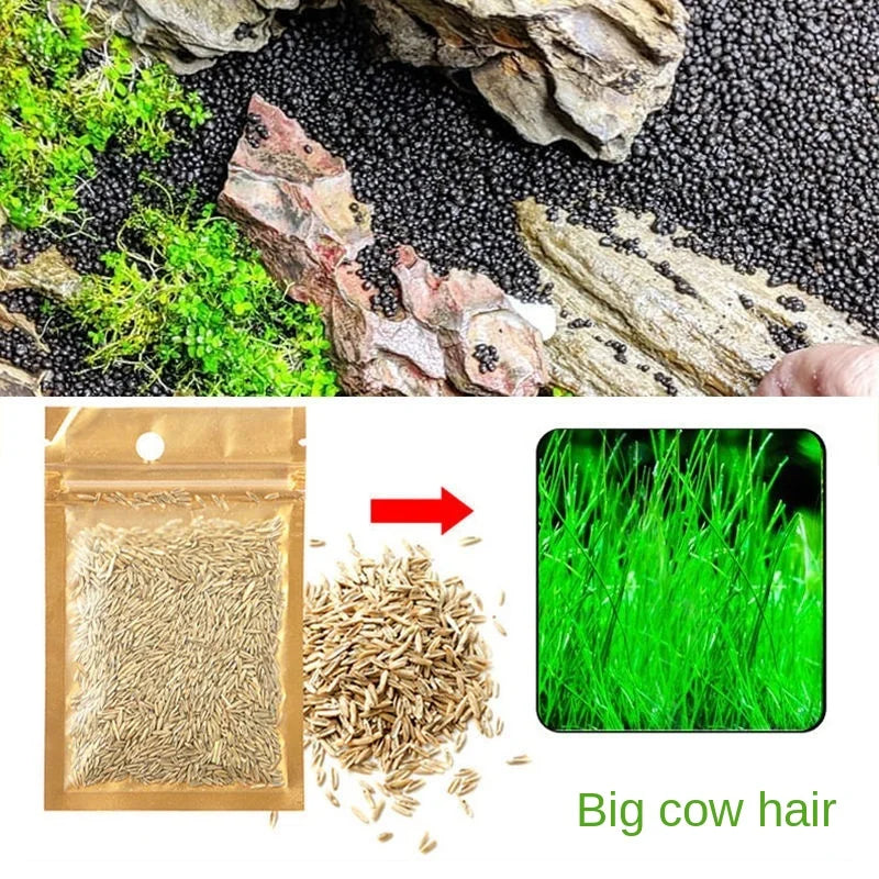 Aquarium Plant Soil – Fertile Substrate for Fish Tank Plants & Decor
