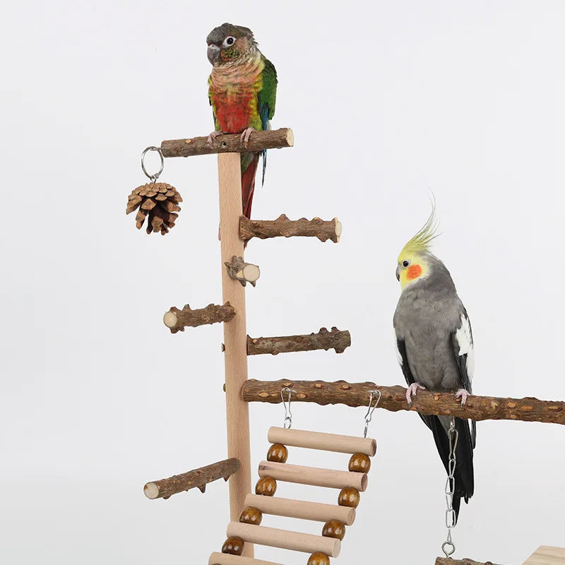 Pepper Wood Parrot Platform – Climbing Net, Ladder, Swing & Bridge Toy