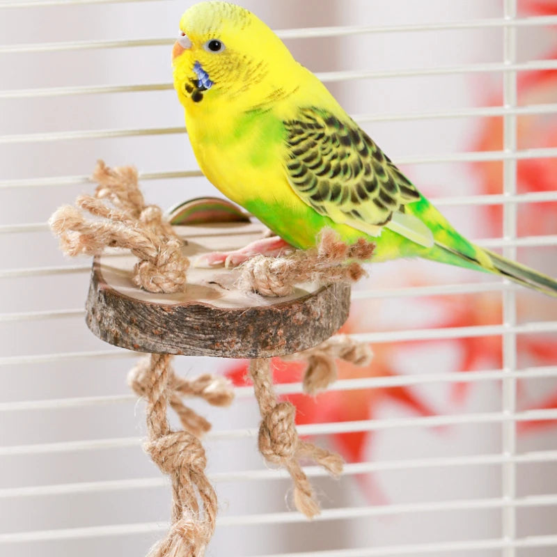 Natural Wood Bird Chew Toy