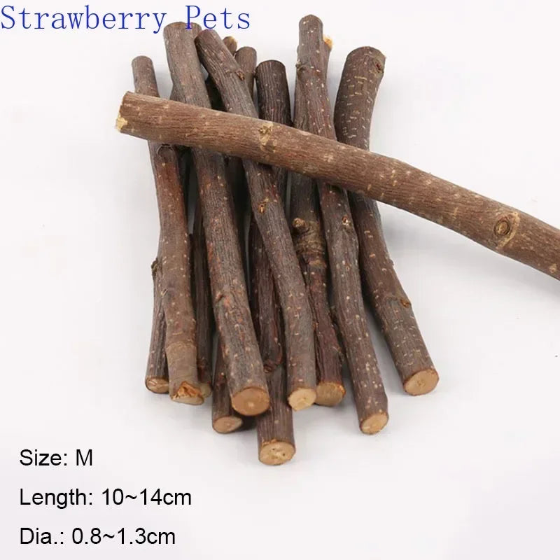 Apple Tree Chew Sticks – Natural Grinding Toys for Hamsters, Rabbits & Parrots