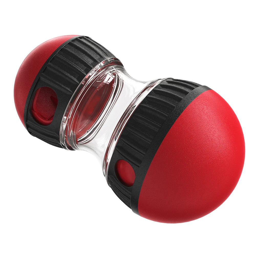 IQ Training Dog Toy – Slow Feeder for Small to Large Dogs, Indoor Puppy Toy