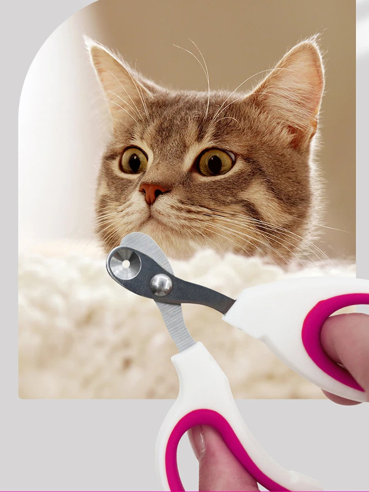 Small Pet Nail Clippers for Cats – Safe & Easy Trimming Tool