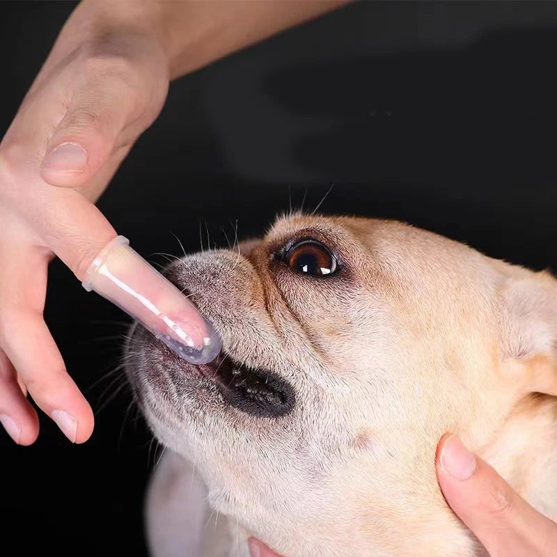 Pet Finger Toothbrush – Soft Tartar Remover for Dogs & Cats