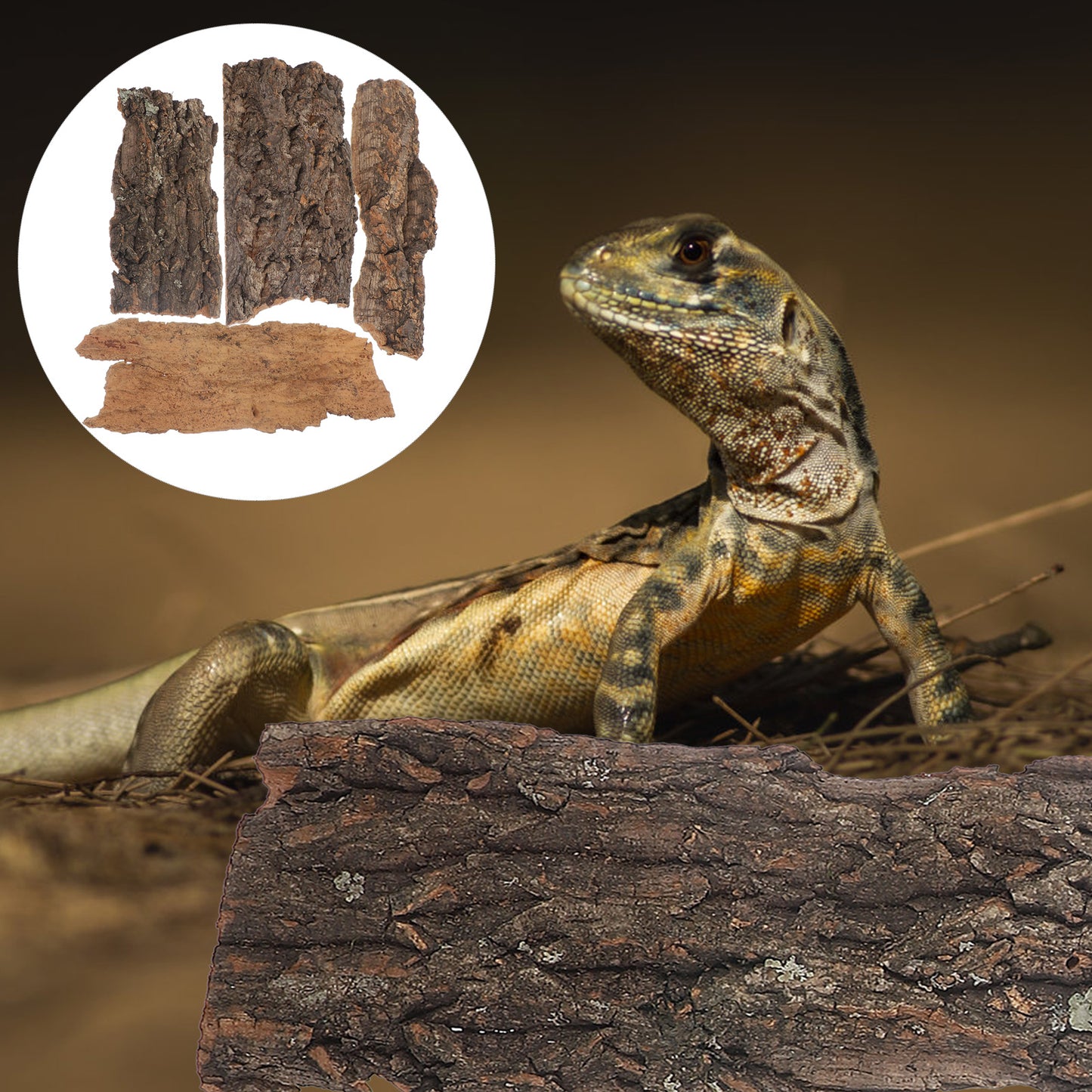 4Pcs Natural Cork Bark – Flat Reptile Terrarium Background & Climbing Decor
