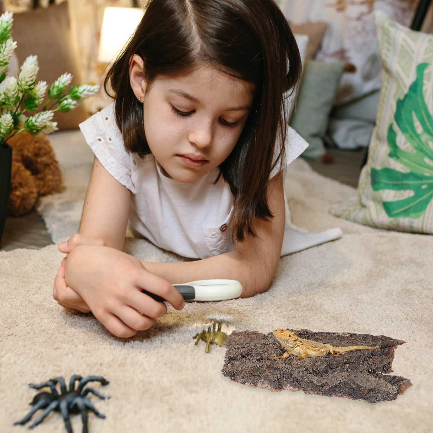 4Pcs Natural Cork Bark – Flat Reptile Terrarium Background & Climbing Decor