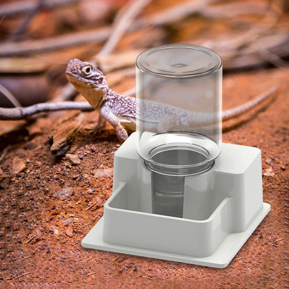 Automatic Reptile Water Dispenser – Bottle Dish for Lizards, Turtles & Amphibians