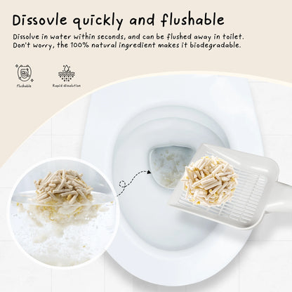 Eco-Friendly Tofu Cat Litter – Biodegradable, Flushable & Clumping | Cococat Jasmine Scent