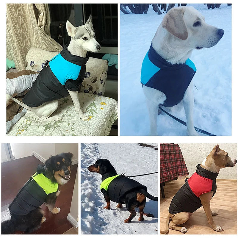 Winter Dog Coat - Waterproof Warm Vest for Small, Medium & Large Dogs