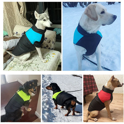 Winter Dog Coat - Waterproof Warm Vest for Small, Medium & Large Dogs