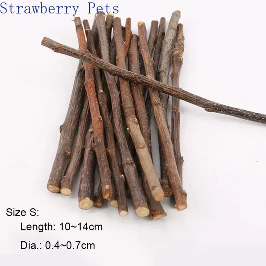 Apple Tree Chew Sticks – Natural Grinding Toys for Hamsters, Rabbits & Parrots