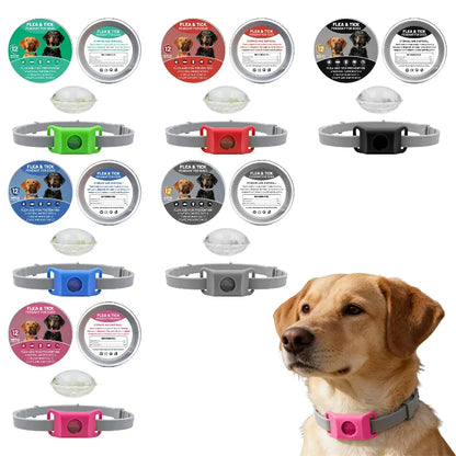 Natural Flea & Tick Repellent Dog Collar With Pendant