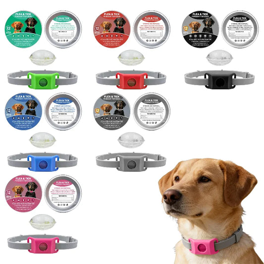Natural Flea & Tick Repellent Dog Collar With Pendant
