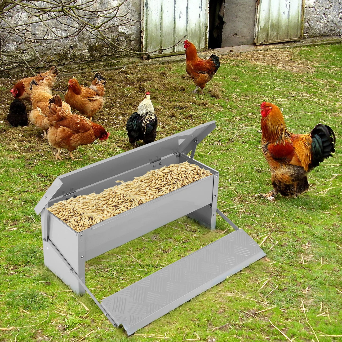 Automatic Treadle Chicken Feeder with Weatherproof Lid Rat Proof