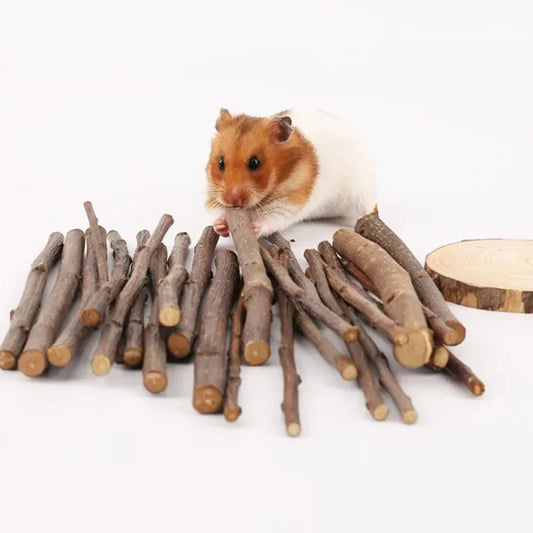 Apple Tree Chew Sticks – Natural Grinding Toys for Hamsters, Rabbits & Parrots