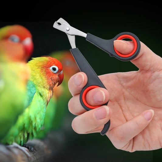 Bird Nail Clippers – Parrot Nail Trimmer Scissors for Safe Claw Grooming & Cutting