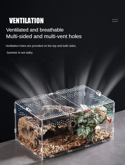 Acrylic Reptile Terrarium – Nano Breeding Box for Spider, Scorpion & Lizards