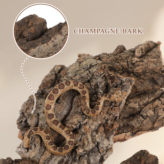 4Pcs Natural Cork Bark – Flat Reptile Terrarium Background & Climbing Decor