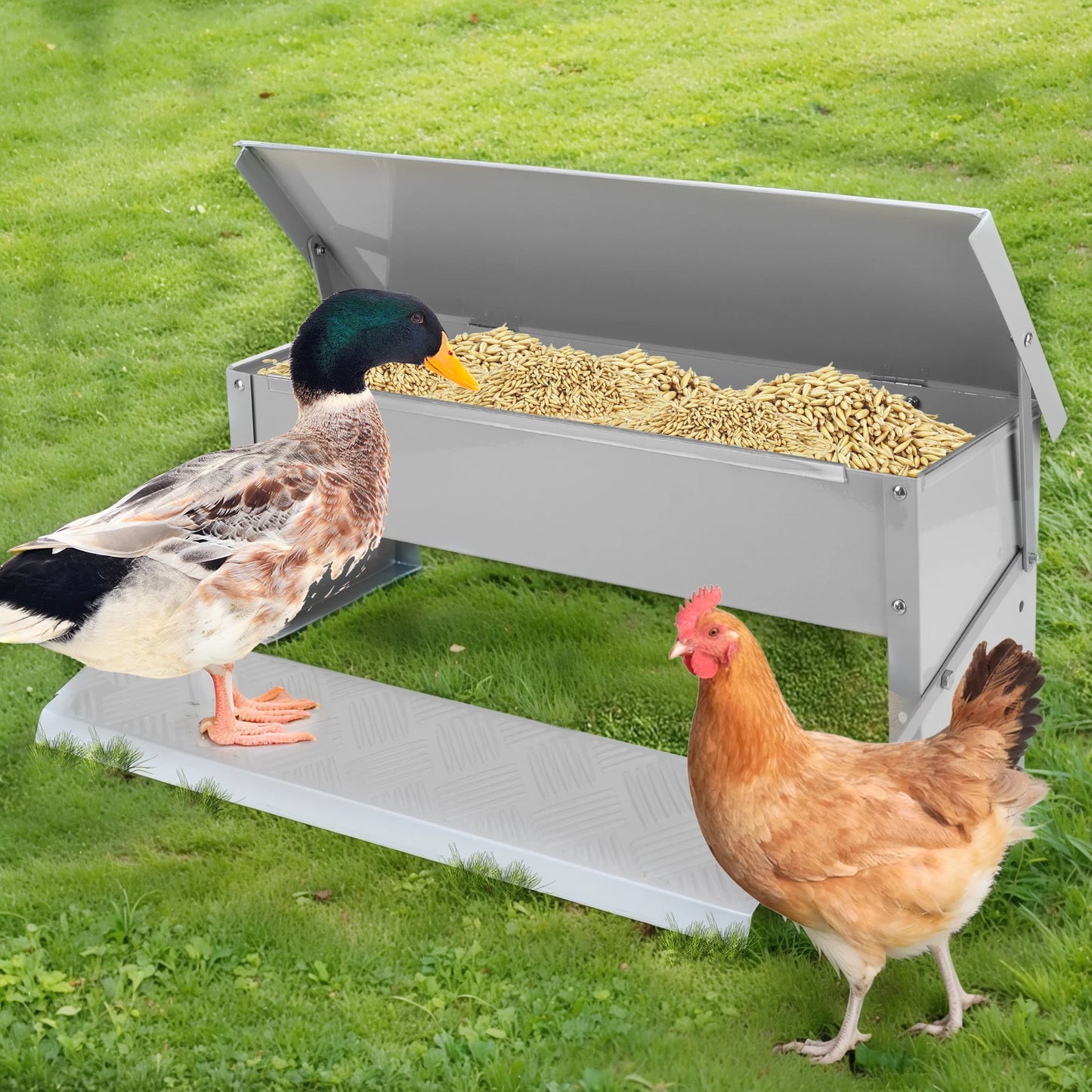Automatic Treadle Chicken Feeder with Weatherproof Lid for Poultry