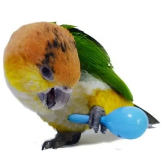 Parrot Rattle Sand Toy – Interactive Training Bites & Sound Toy for Birds