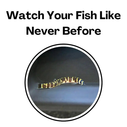 Aquarium Tunnel Cave – Curved Under Gravel Fish Tank Decoration