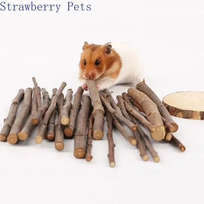 Apple Tree Chew Sticks – Natural Grinding Toys for Hamsters, Rabbits & Parrots