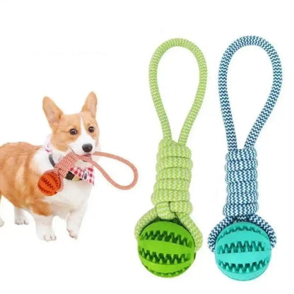Dog Treat Ball Toy – Rubber Chew Rope Toy for Small & Medium Dogs, Teeth Cleaning