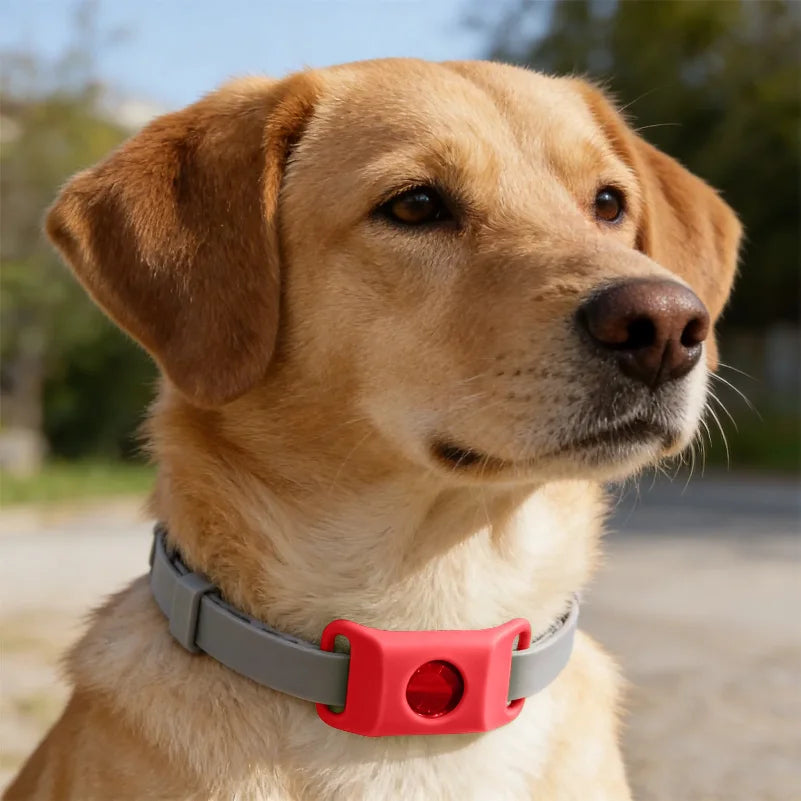 Natural Flea & Tick Repellent Dog Collar With Pendant